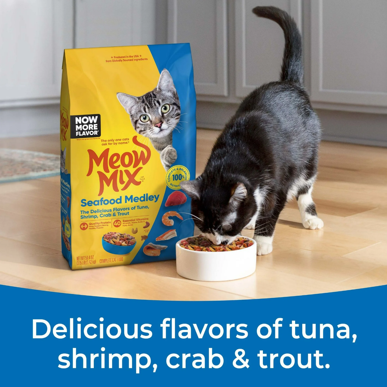 Meow Mix Seafood Medley Dry Cat Food 1.43kg Cat Eating From A Bowl