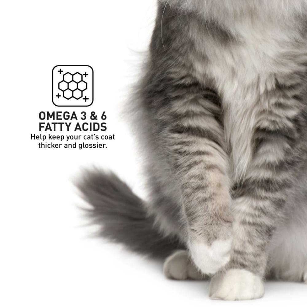ProDiet Ocean Fish Dry Cat Food 1.2kg Omega 3 & 6 Fatty Acids