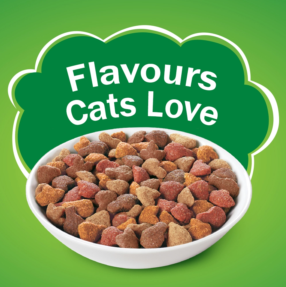 Purina Friskies Indoor Delights Dry Cat Food – Salmon, Chicken & Veggies 1kg Kibble