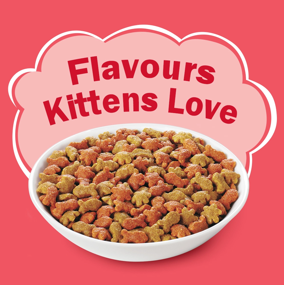 Purina Kitten Discoveries Dry Cat Food Bowl of Kibble