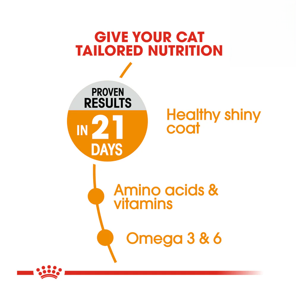Royal Canin Hair and Skin Dry Cat Food Benefits