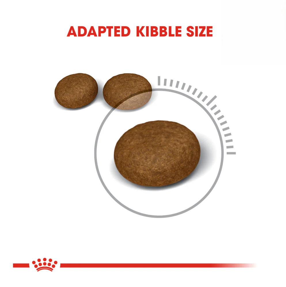 Royal Canin Hair and Skin Dry Cat Food Kibble