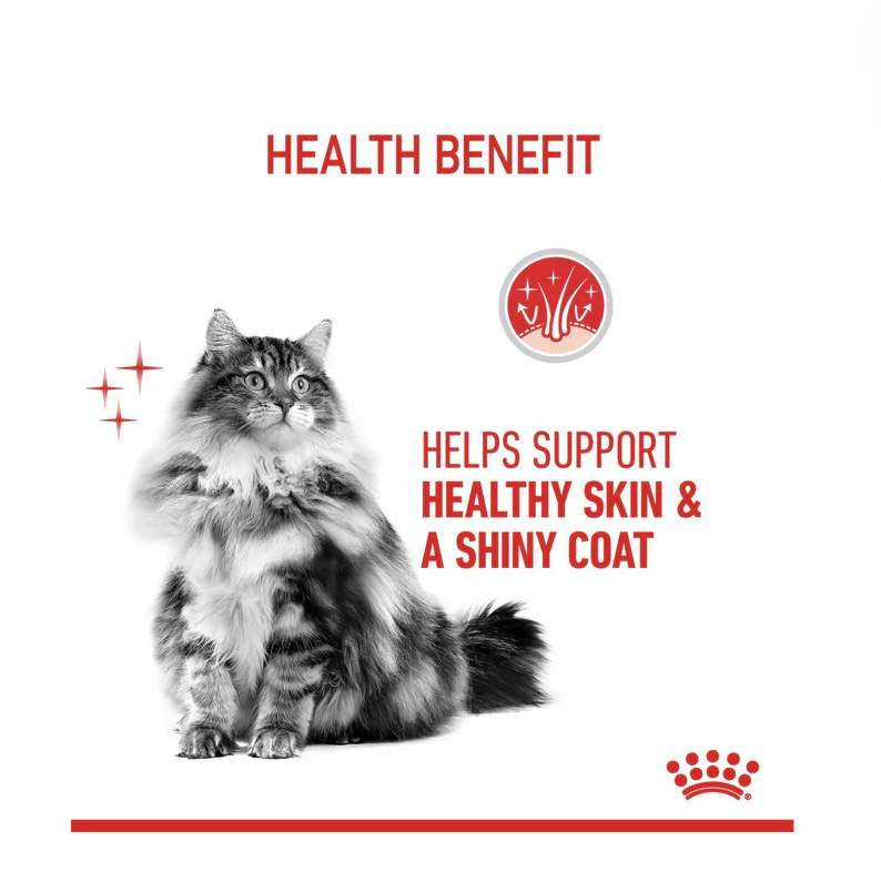 Royal Canin Hair & Skin Care Wet Cat Food 85g Shiny Cat