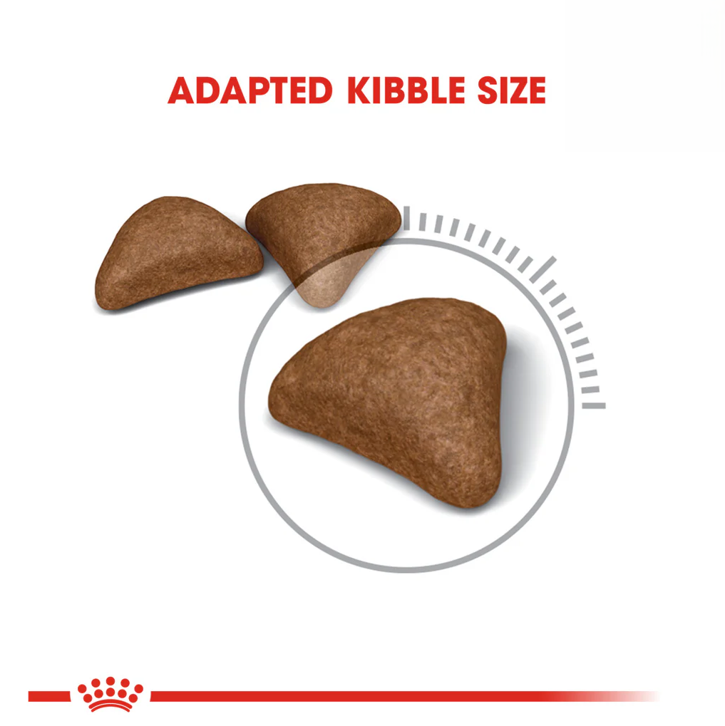 Royal Canin Hairball Care Dry Cat Food 2kg Kibble