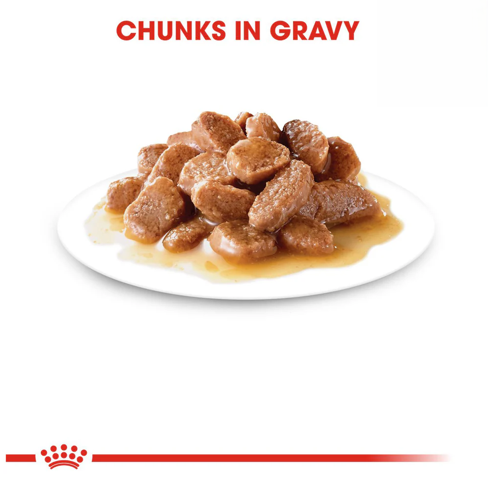 Royal Canin Hairball Wet Cat Food 85g Chunks in Gravy