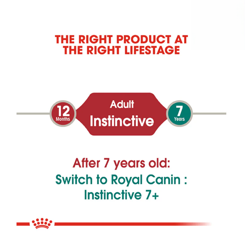 Royal Canin Instinctive Wet Cat Food 85g Lifestage Guide