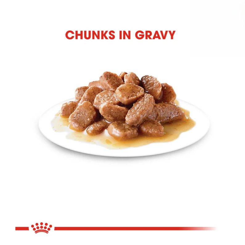 Royal Canin Instinctive Wet Cat Food 85g Chunks in Gravy