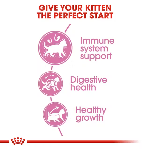 Royal Canin Kitten Dry Cat Food 2kg Health Benefits