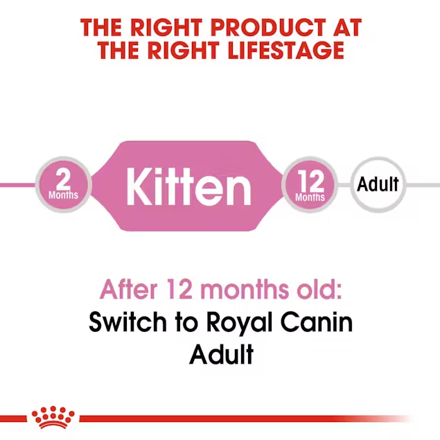 Royal Canin Kitten Dry Cat Food 2kg Lifestage Guide