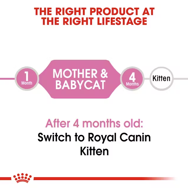 Royal Canin Mother & Babycat Dry Cat Food Lifestage Guide