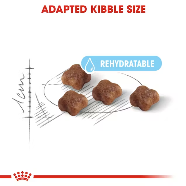 Royal Canin Mother & Babycat Dry Cat Food Kibble