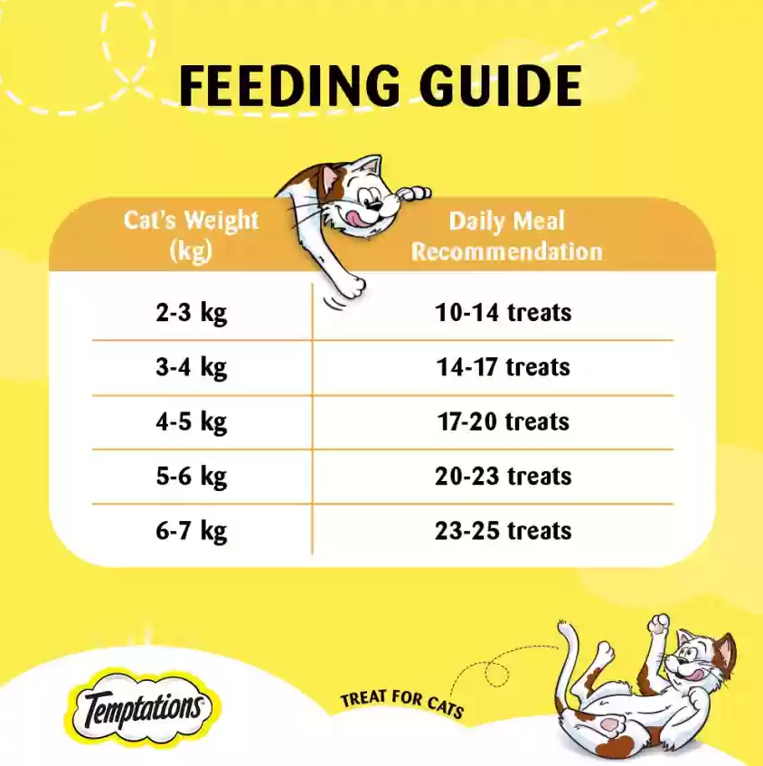 Temptations Tasty Chicken Cat Treats 75g (Crunchy Outside, Soft Inside)