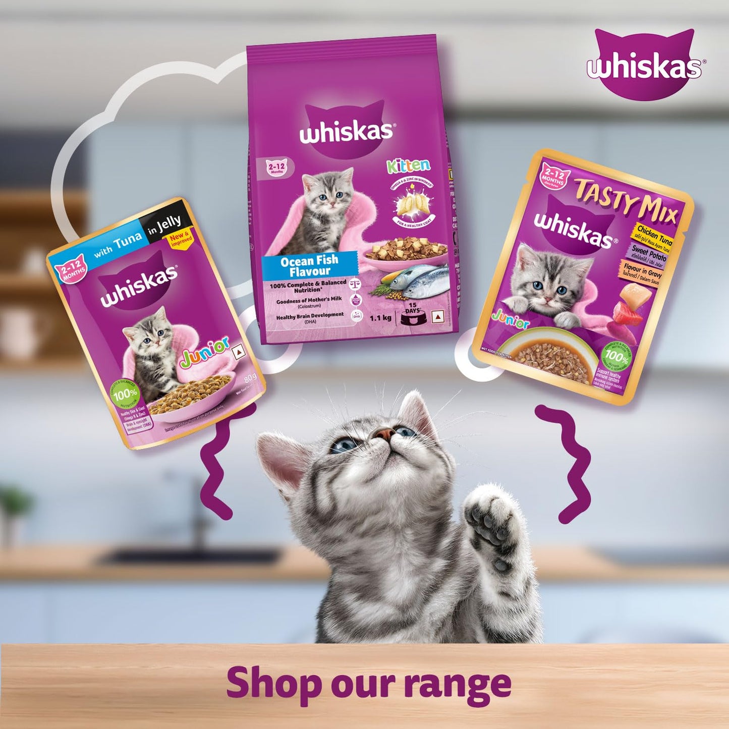 Whiskas Junior Wet Kitten Food – Mackerel Flavor in Jelly 80g Variants