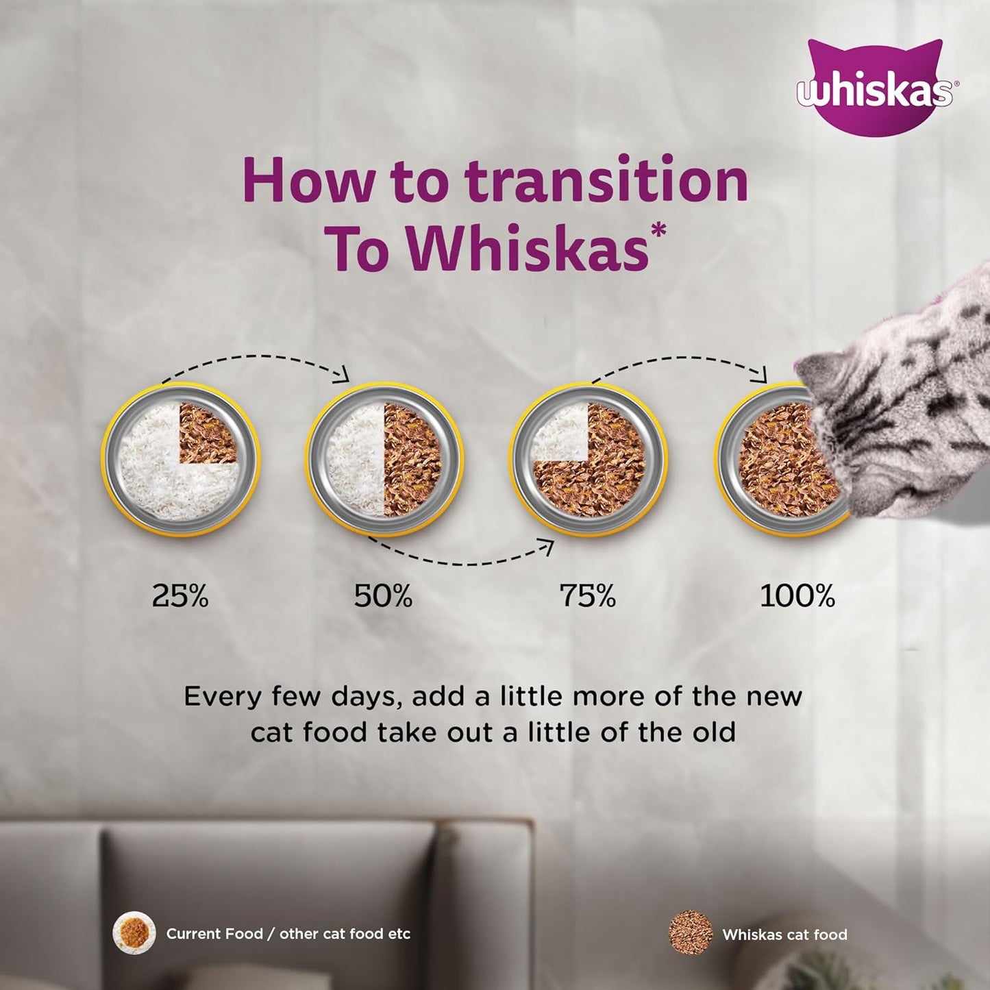 Whiskas Junior Wet Kitten Food – Mackerel Flavor in Jelly 80g How to Transition
