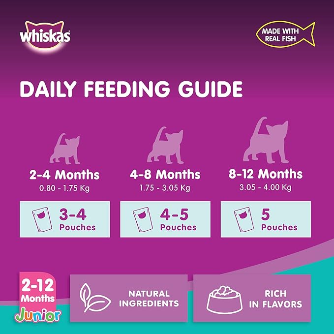 Whiskas Junior Tuna Flavor in Jelly – Wet Kitten Food 80g Feeding Guide