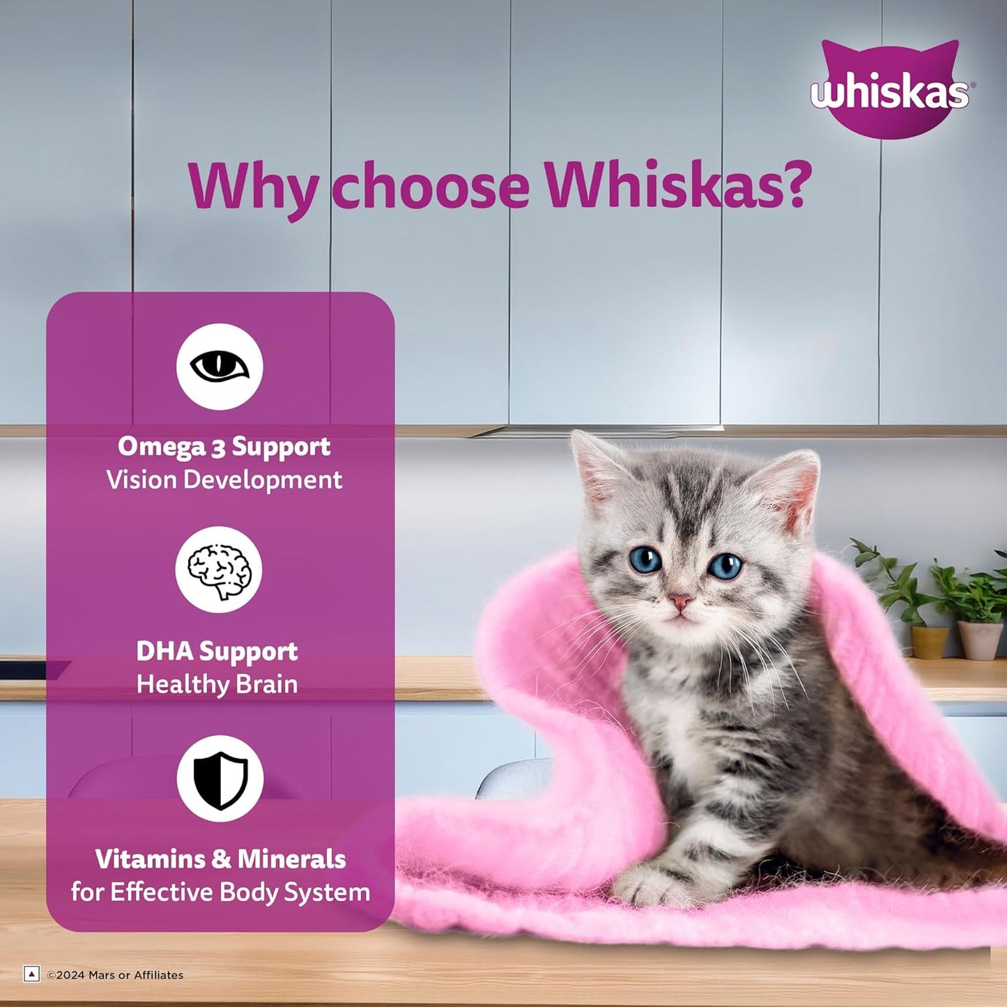 Whiskas Junior Tuna Flavor in Jelly – Wet Kitten Food 80g Why Choose Whiskas Graphic