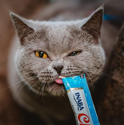 Inaba Churu Cat Treats – Tuna 14g x 4. A Cat Eating Inaba