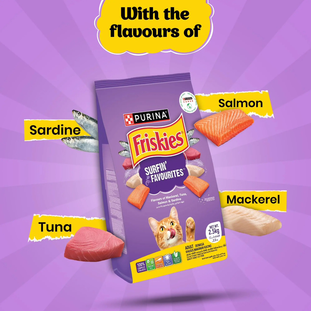 Purina Friskies Surfin’ Favorites Dry Cat Food Flavors