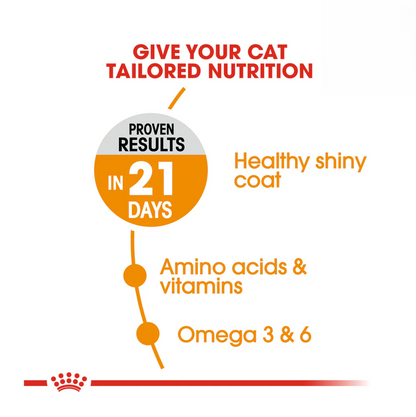 Royal Canin Hair and Skin Dry Cat Food Benefits