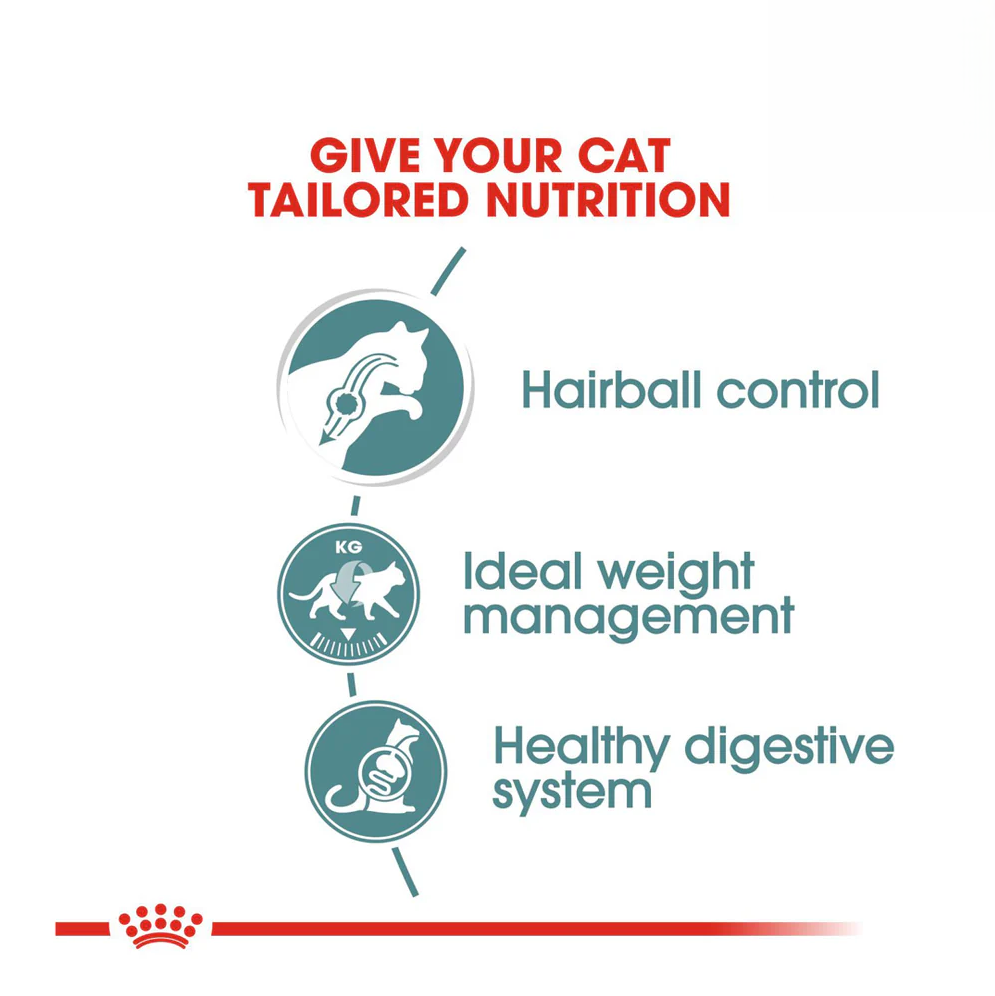 Royal Canin Hairball Wet Cat Food 85g Health Benefits