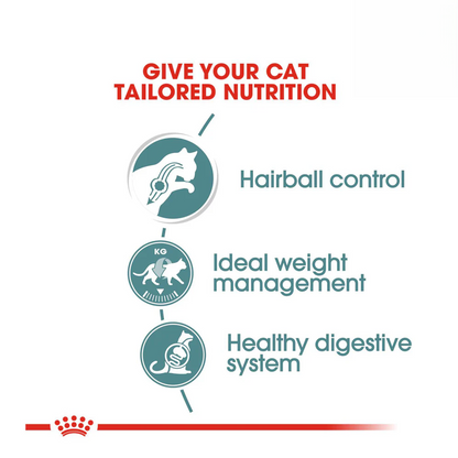 Royal Canin Hairball Wet Cat Food 85g Health Benefits