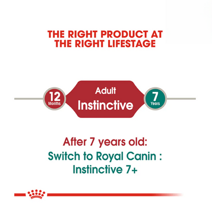 Royal Canin Instinctive Wet Cat Food 85g Lifestage Guide