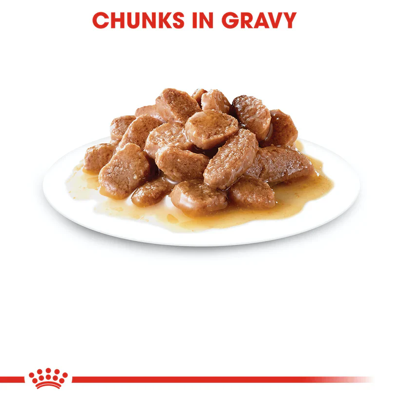 Royal Canin Urinary Wet Cat Food Chunks in Gravy