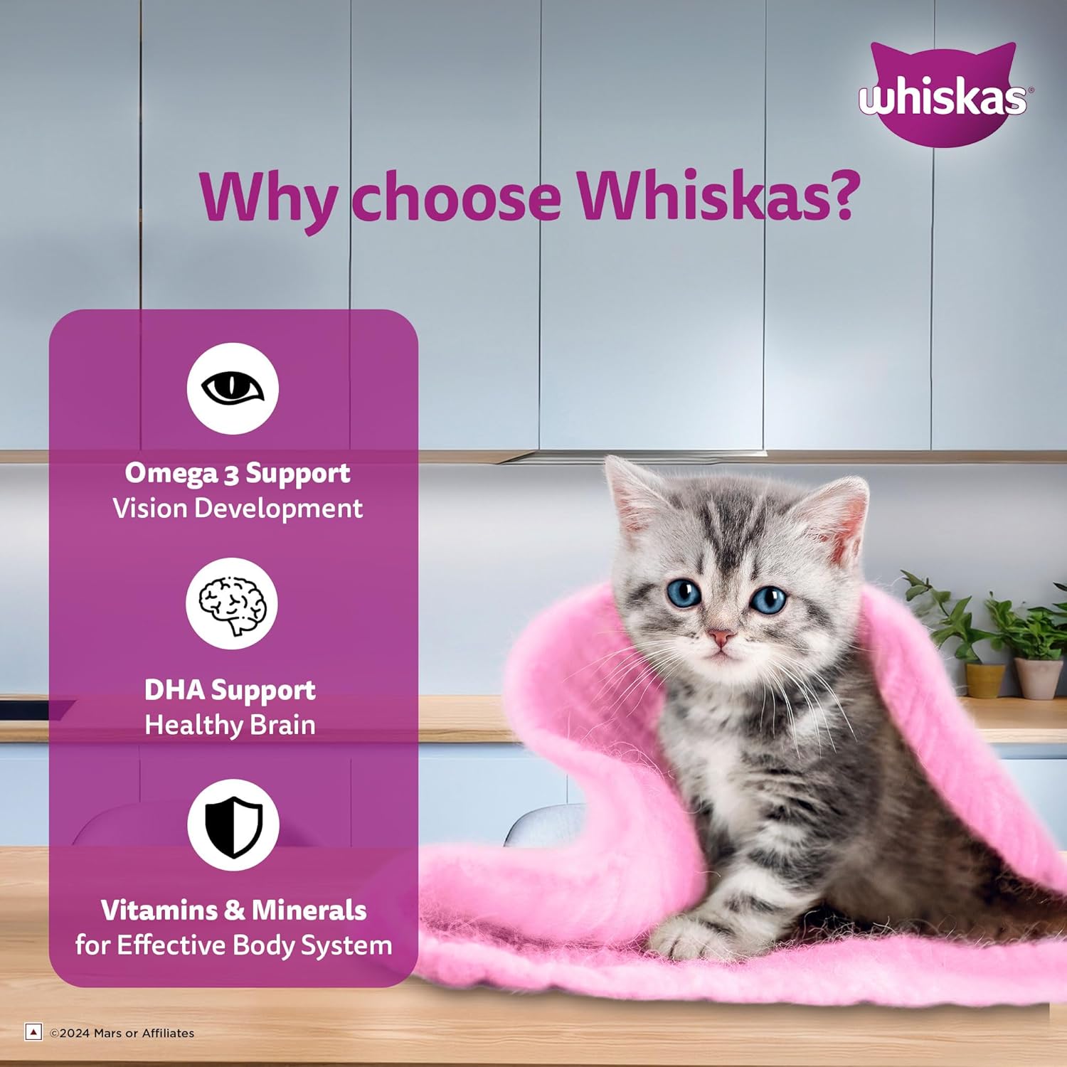 Whiskas Junior Wet Kitten Food – Mackerel Flavor in Jelly 80g Why Choose Whiskas