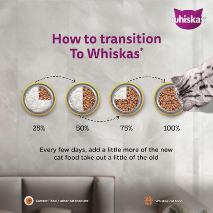 Whiskas Junior Wet Kitten Food – Mackerel Flavor in Jelly 80g How to Transition